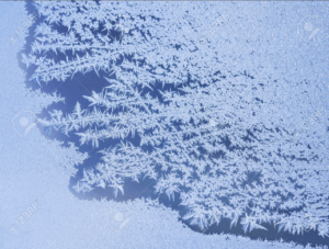 유리 위에 피어난 서리 무늬. 얇은 얼음 결정이 깃털처럼 뻗어 있는 모습.